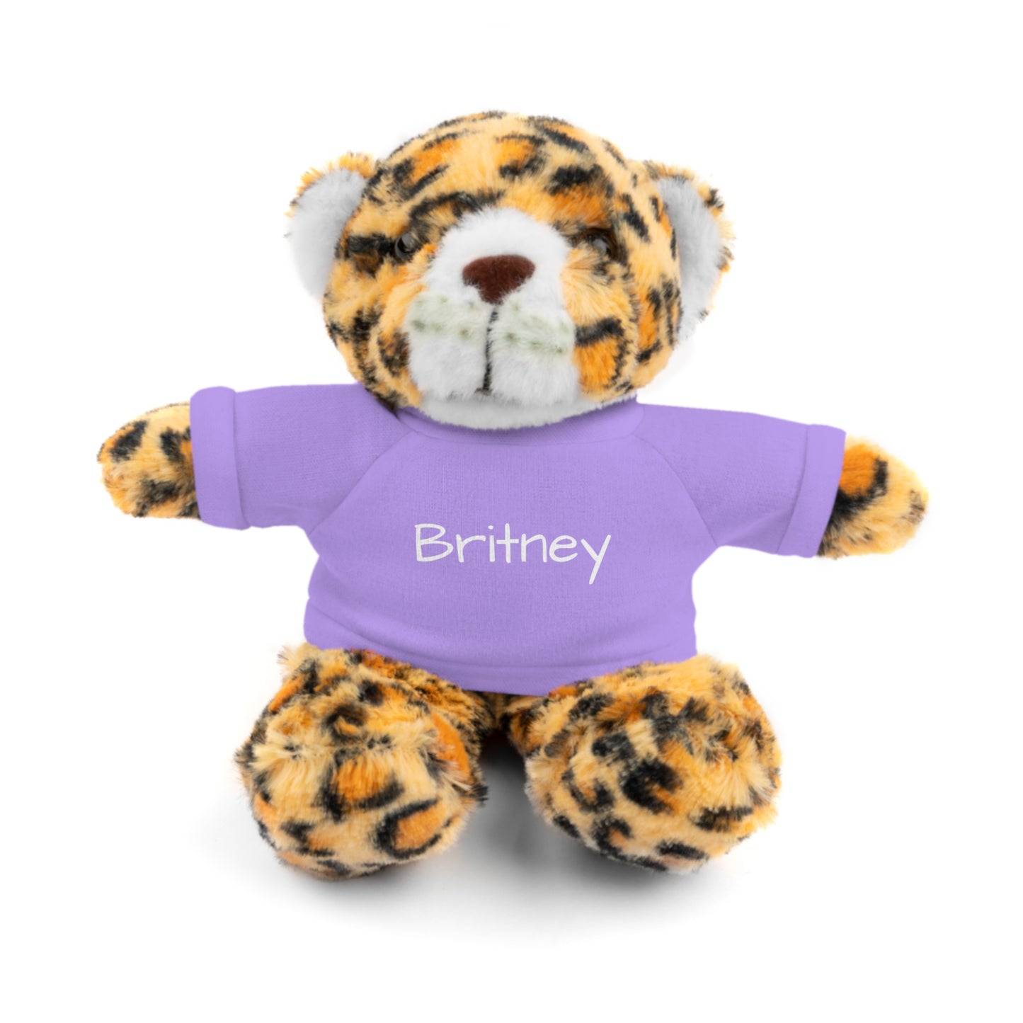 Personalized Name Stuffed Animal with T-Shirt