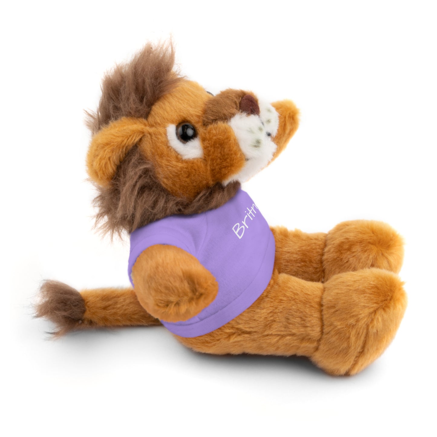 Personalized Name Stuffed Animal with T-Shirt