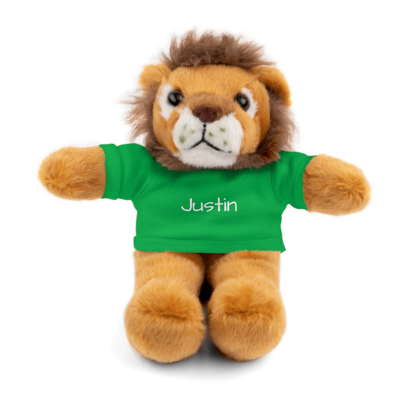 Personalized Name Stuffed Animal with T-Shirt