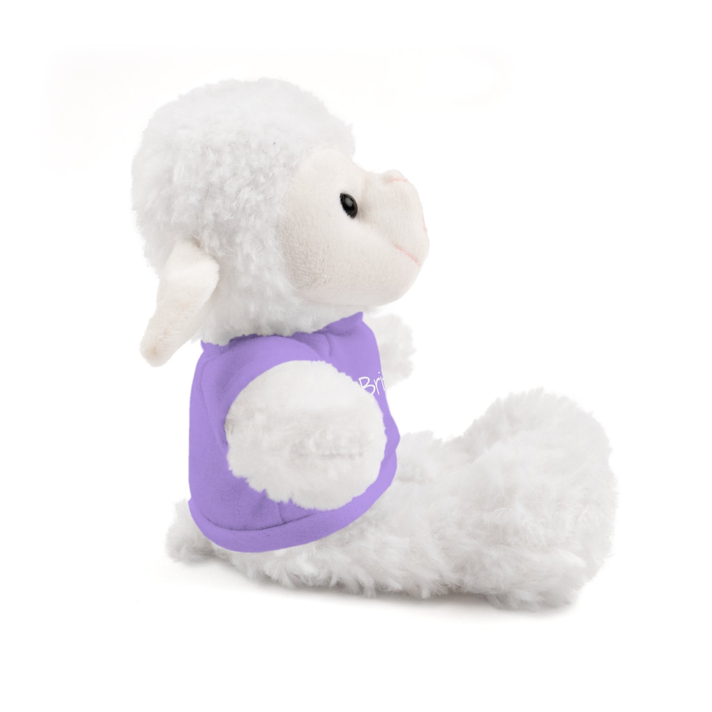 Personalized Name Stuffed Animal with T-Shirt