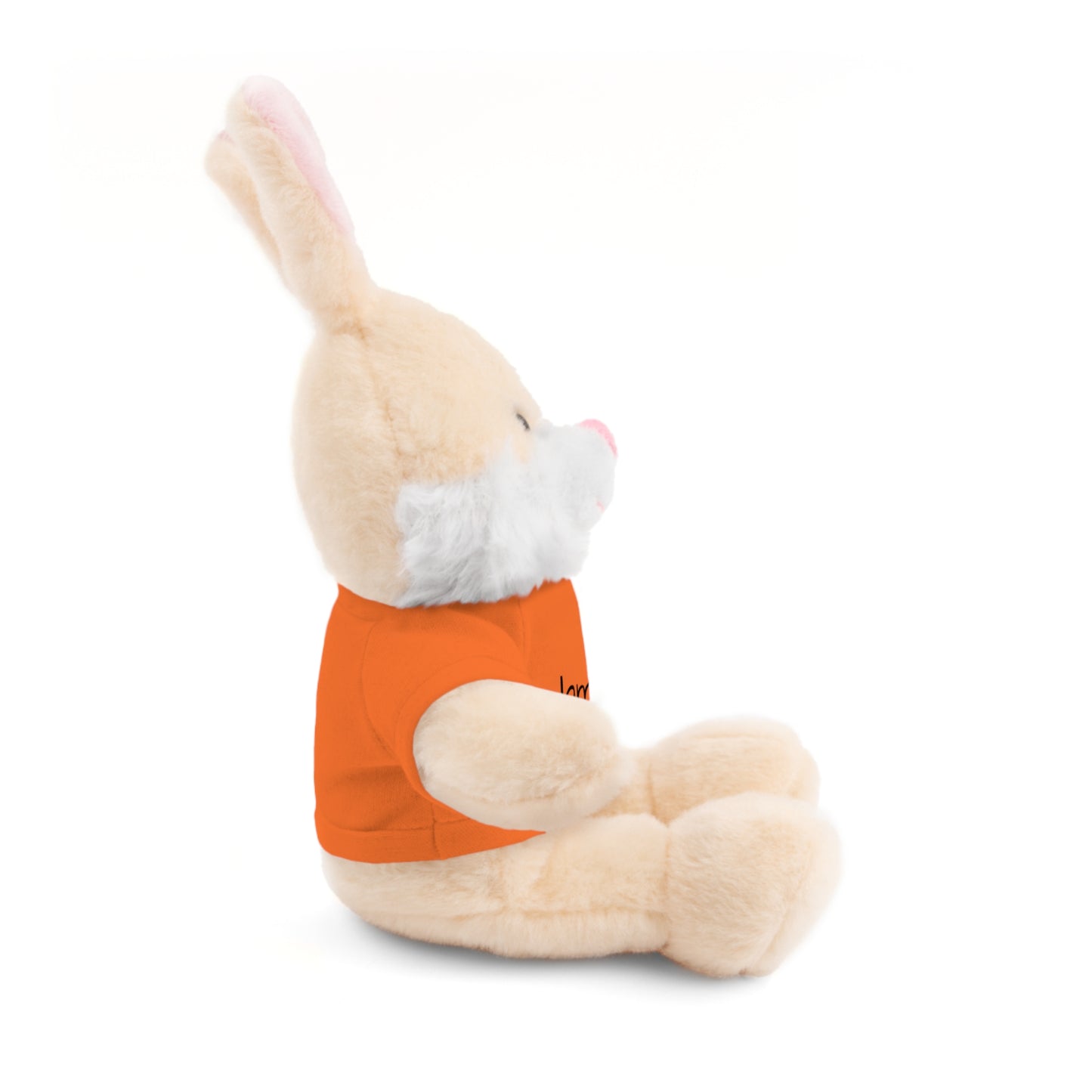 Personalized Name Stuffed Animal with T-Shirt