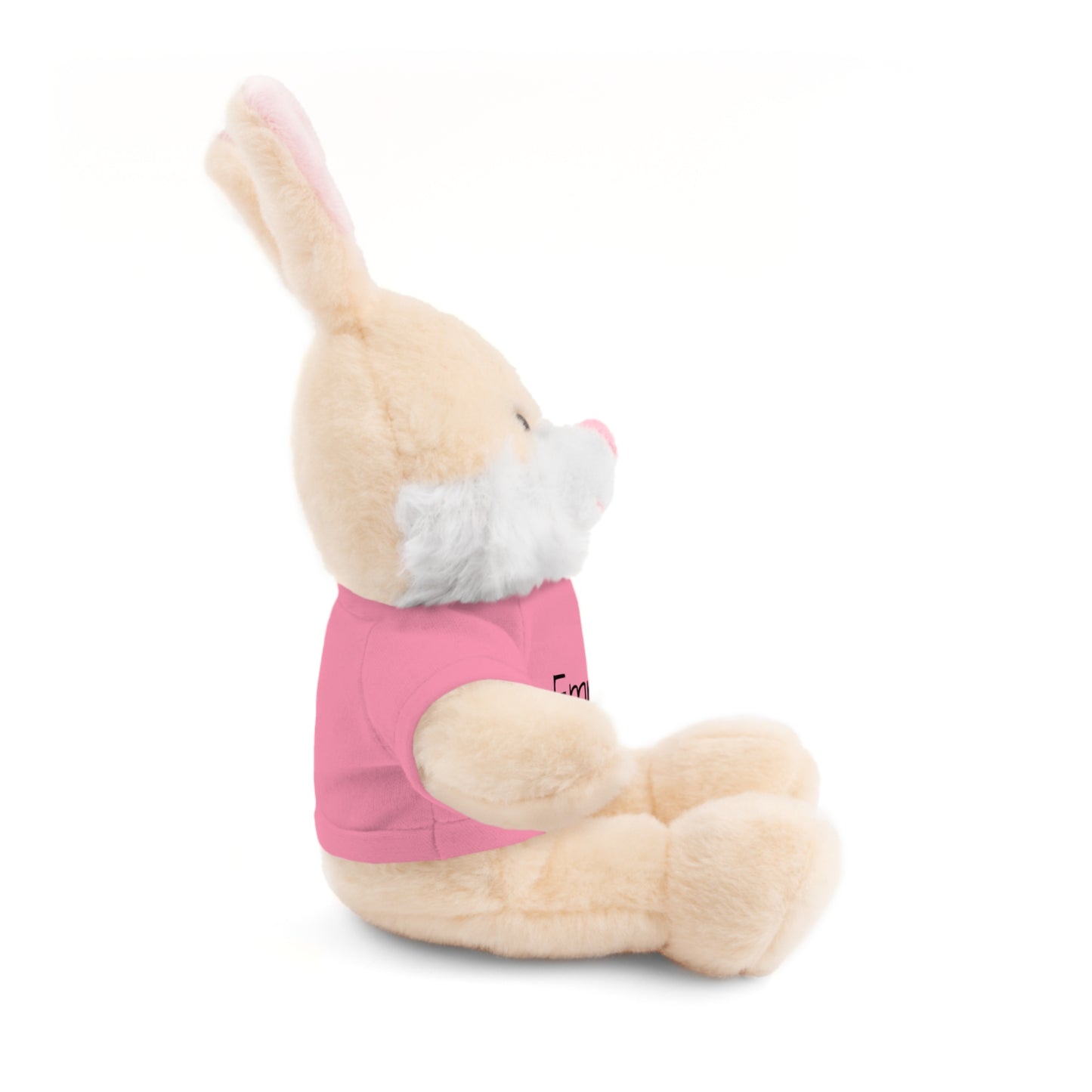 Personalized Name Stuffed Animal with T-Shirt
