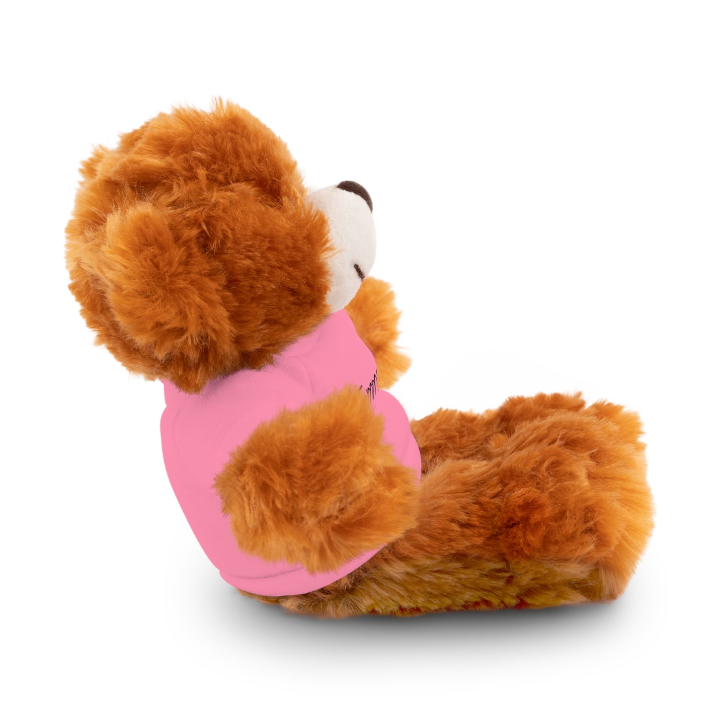 Personalized Name Stuffed Animal with T-Shirt