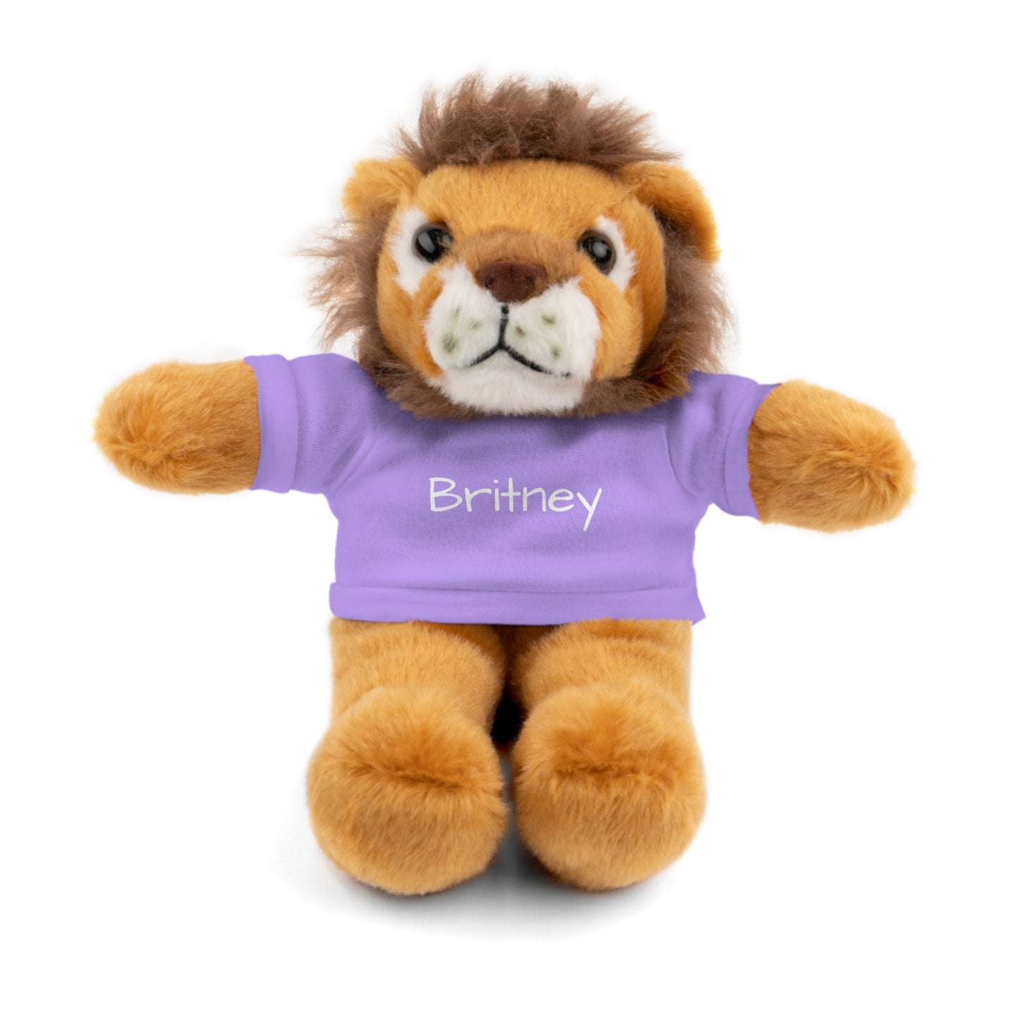 Personalized Name Stuffed Animal with T-Shirt