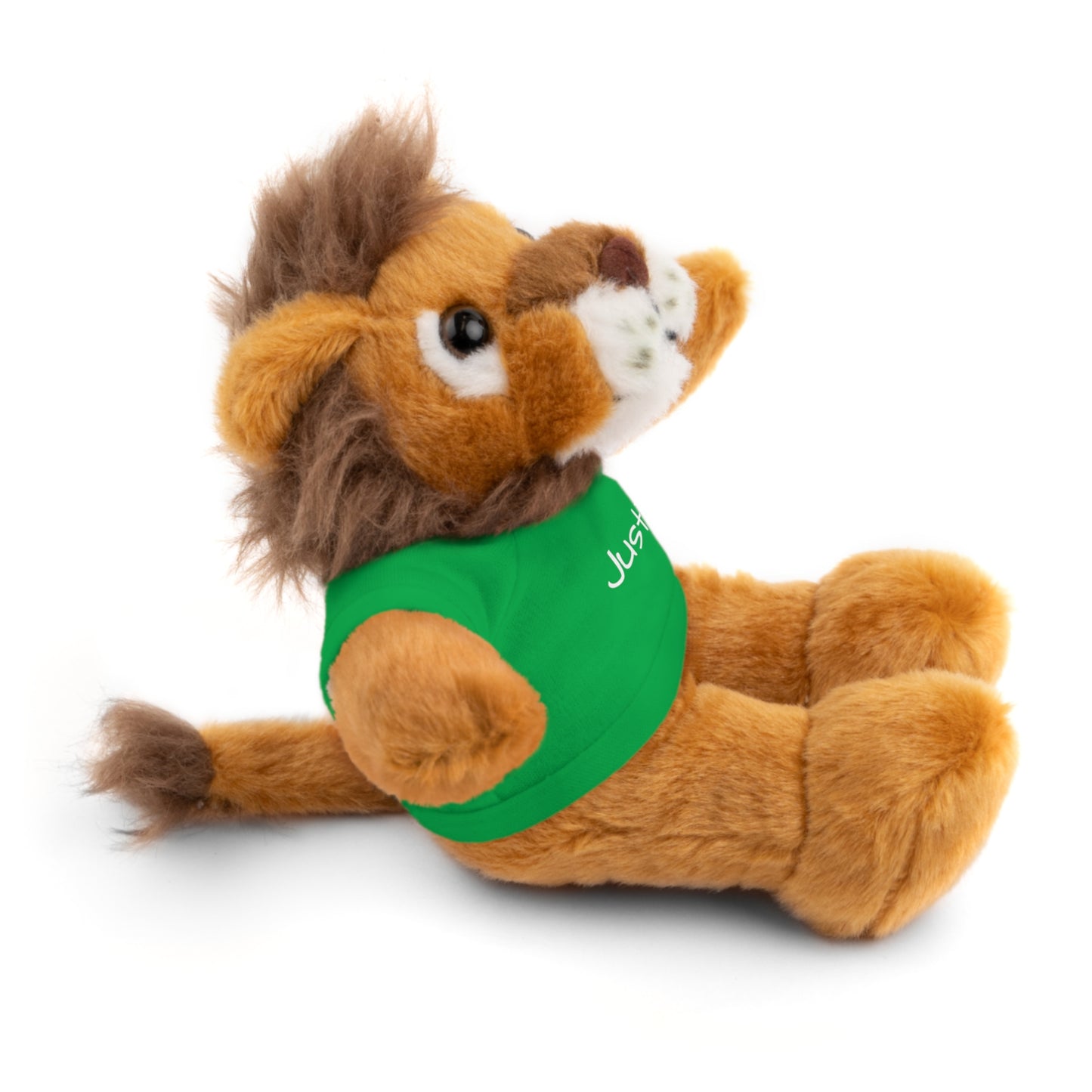 Personalized Name Stuffed Animal with T-Shirt