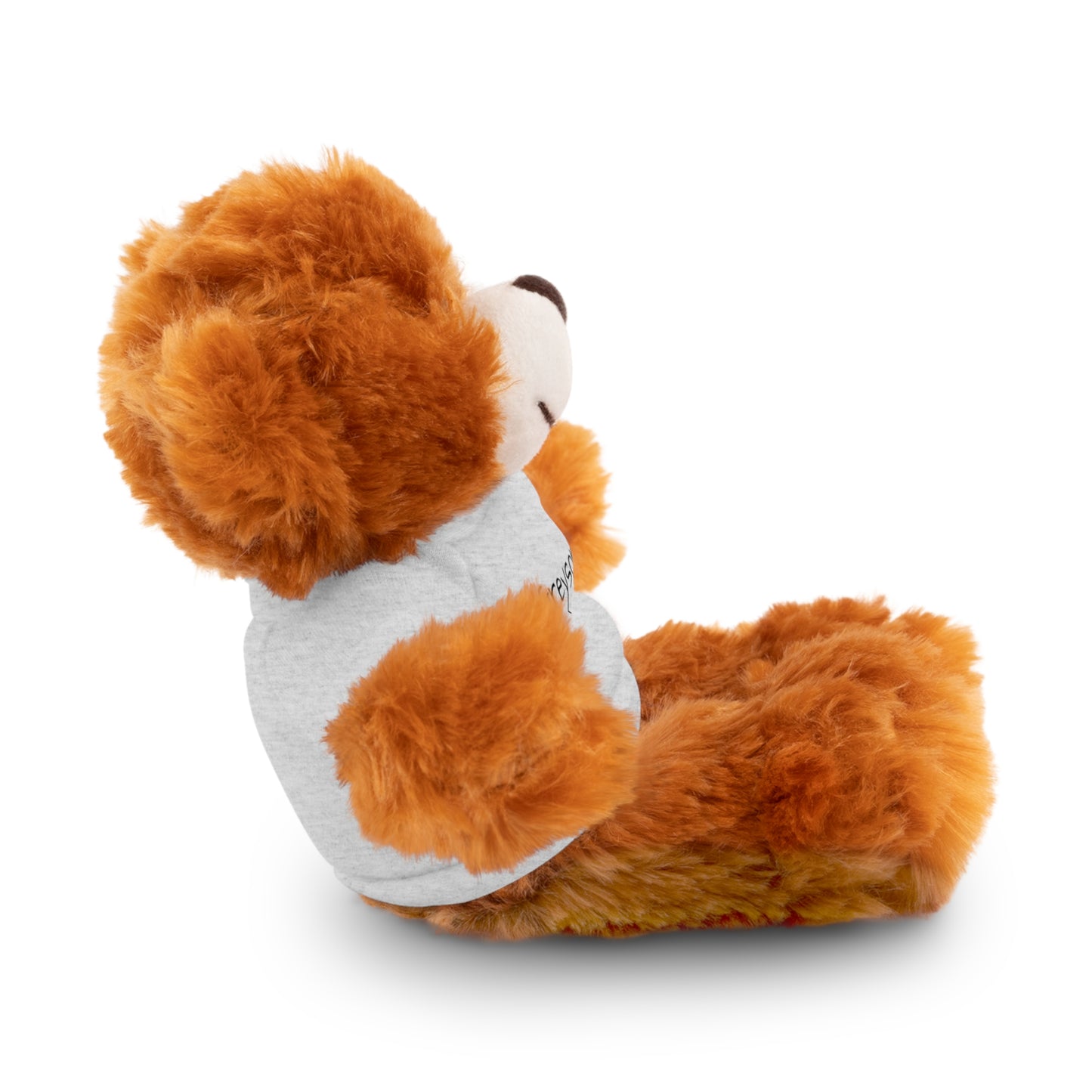 Personalized Name Stuffed Animal with T-Shirt