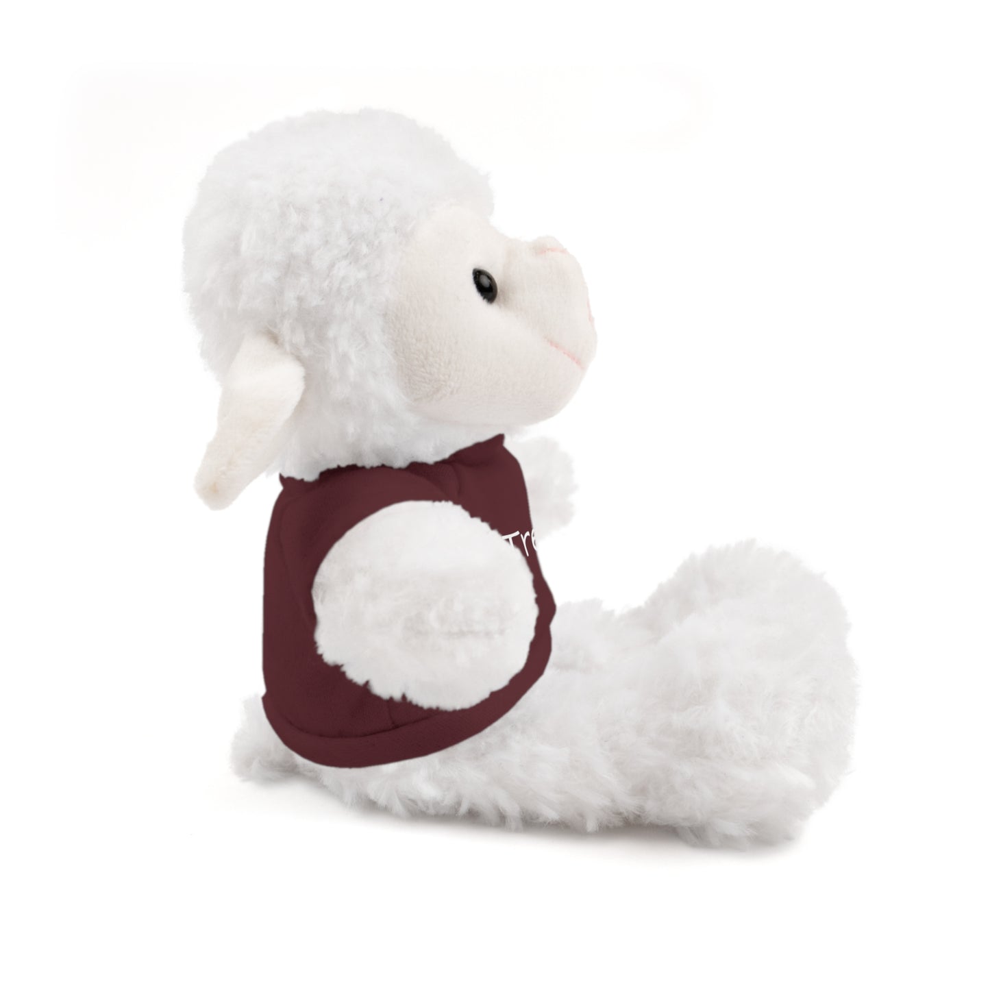 Personalized Name Stuffed Animal with T-Shirt