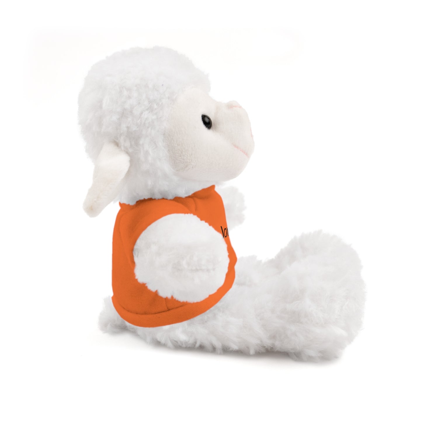 Personalized Name Stuffed Animal with T-Shirt