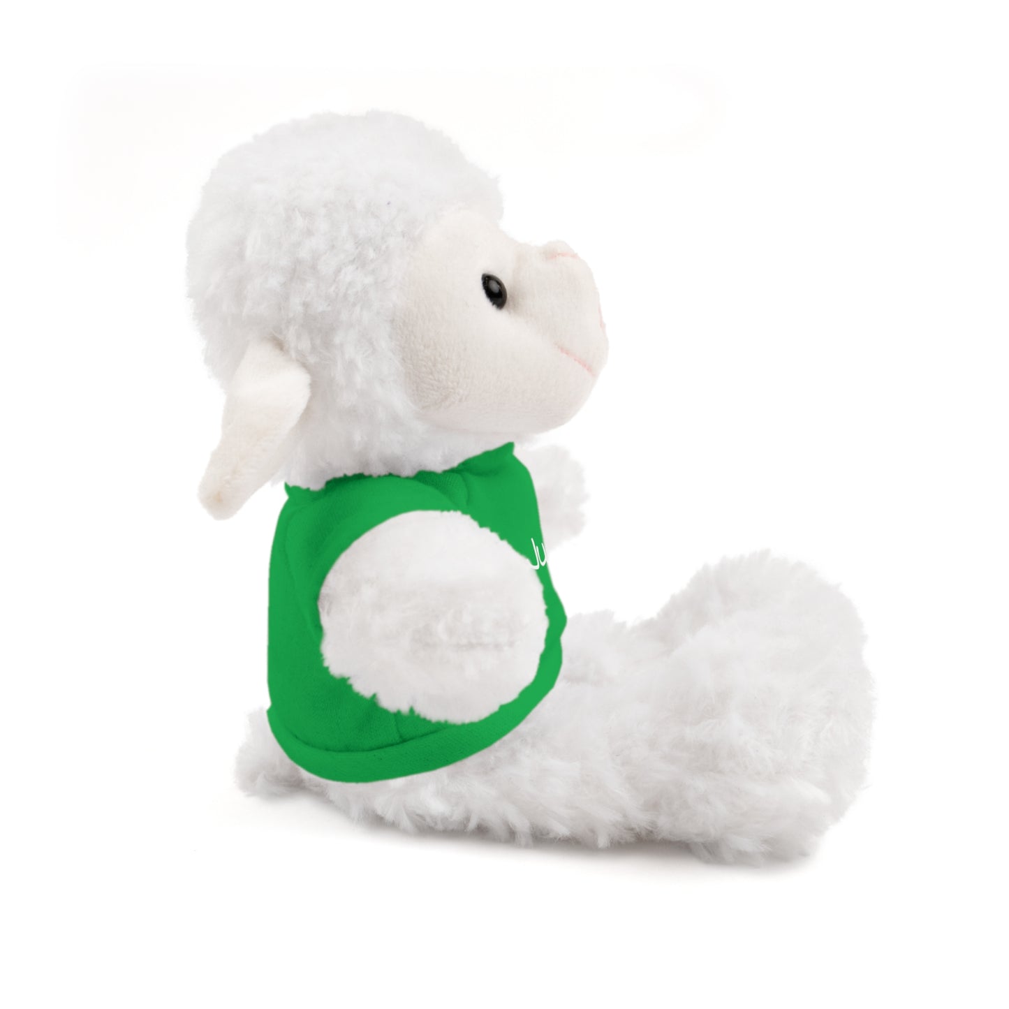 Personalized Name Stuffed Animal with T-Shirt