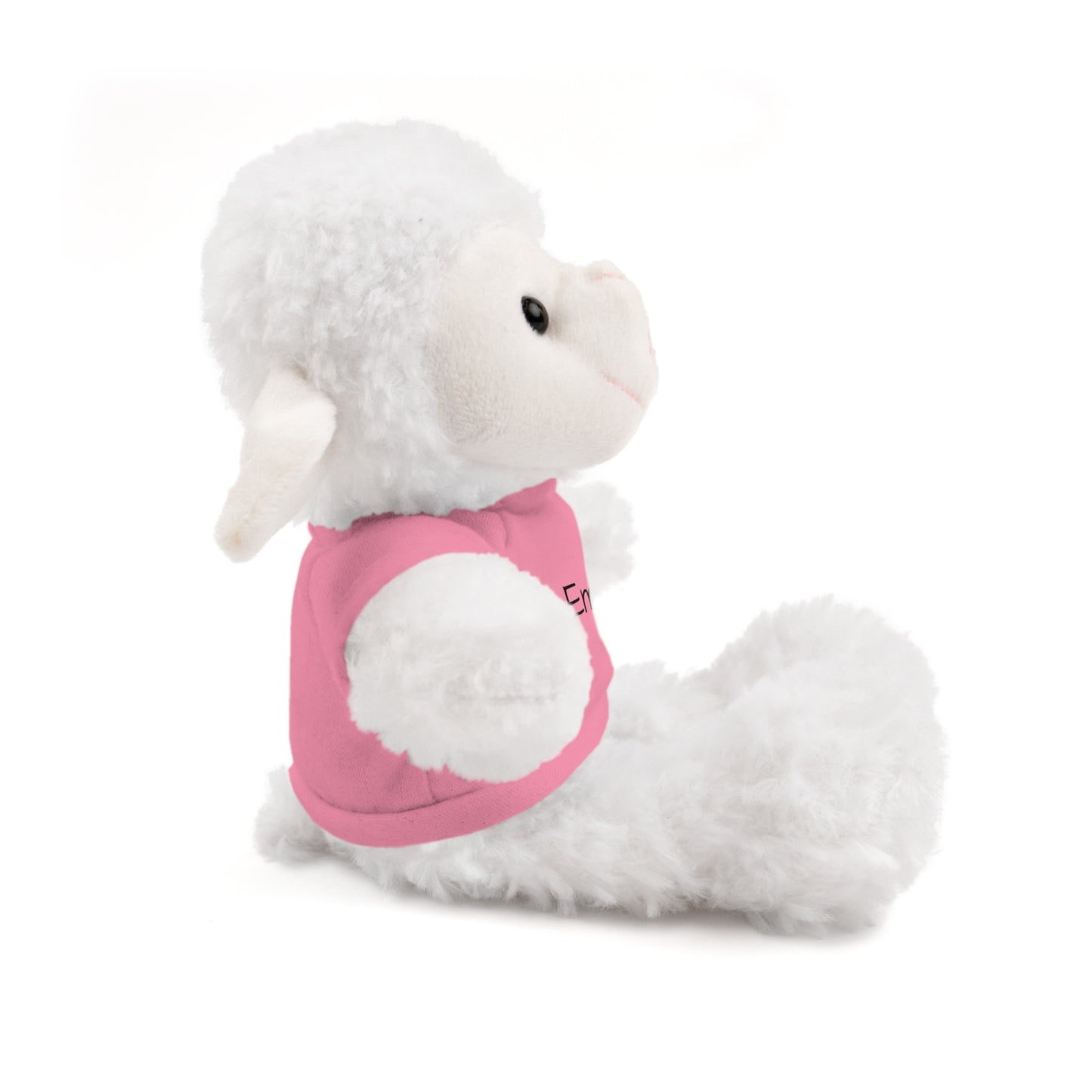 Personalized Name Stuffed Animal with T-Shirt