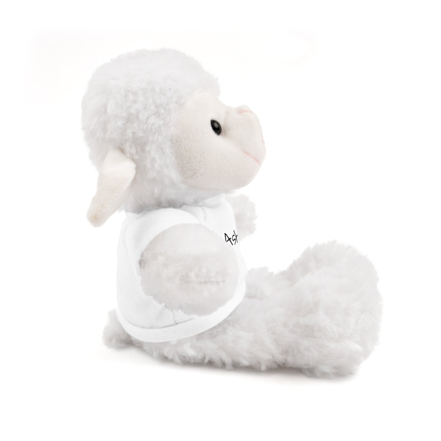 Personalized Name Stuffed Animal with T-Shirt