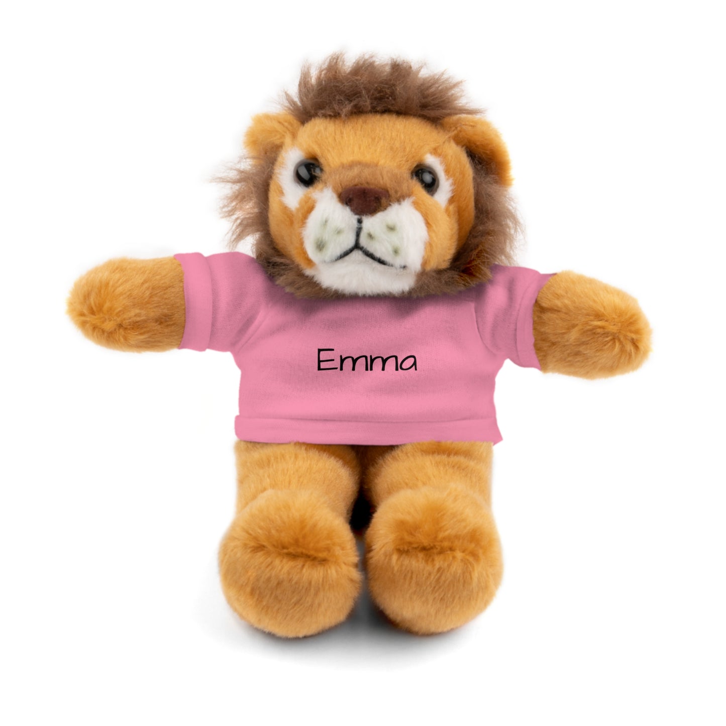 Personalized Name Stuffed Animal with T-Shirt